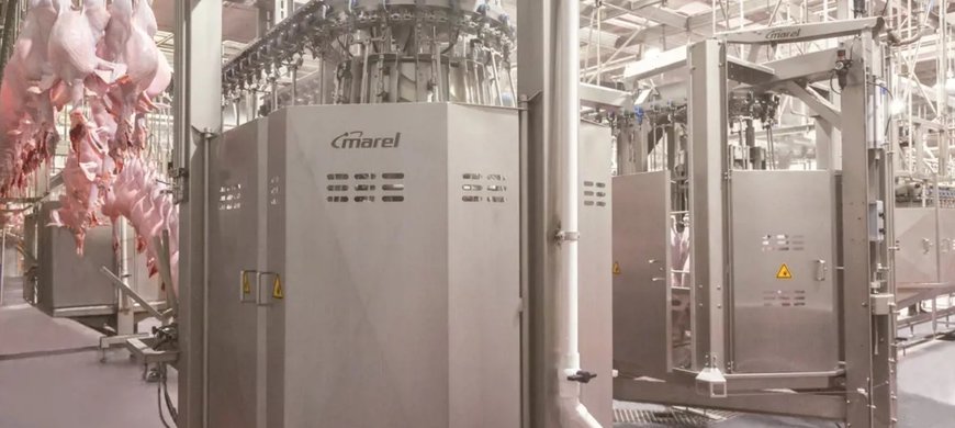 Stasin’s performance benefits from Marel's automation